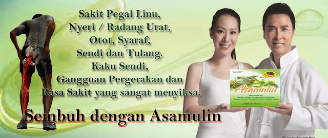 jual obat asamulin