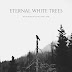ETERNAL WHITE TREES "The Summer That Will Not Come" (Recensione)