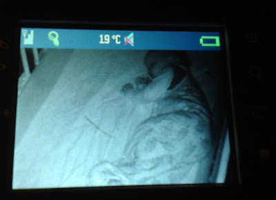 toddler asleep in a cot on a monitor