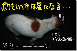 今日カズ０９１２１４　２