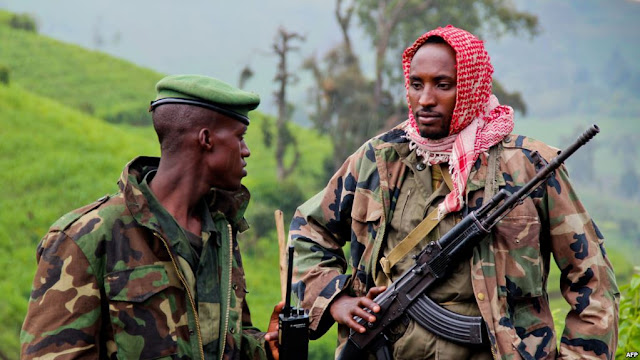 "Chờ đến Tết Congo?"