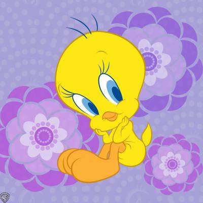 Looney Tunes Tweety Bird