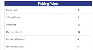 Fan2Play Fielding Point System