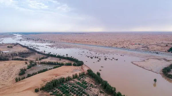 وادي الرُّمة