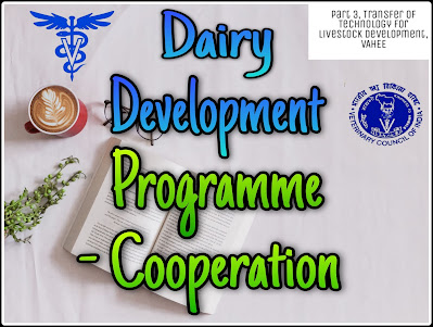 Dairy Development Programme.