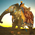 Miracle of Rajasthan tours in India