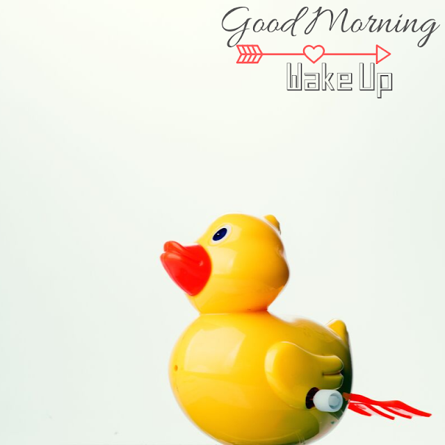 Cute Baby toy Duck Good Morning Images