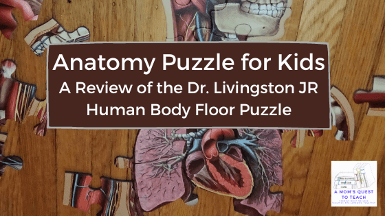 A Mom's Quest to Teach logo: Anatomy Puzzle for Kids: A Review of the Dr. Livingston JR Human Body Floor Puzzle