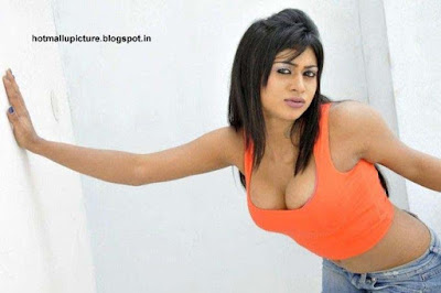 south indian actress boobs