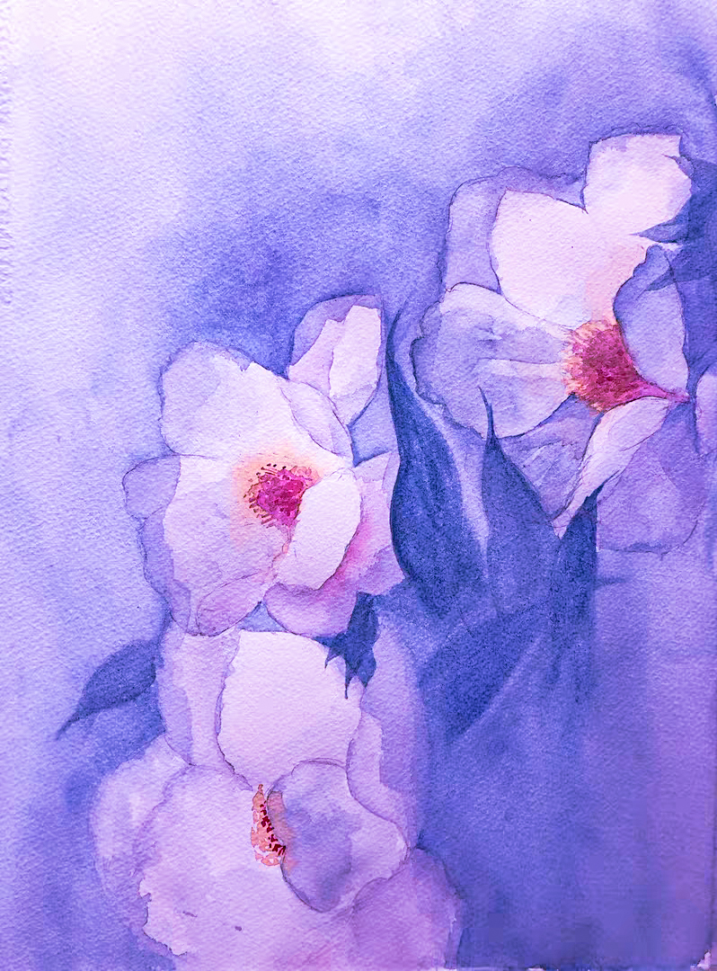 55Watercolor ideas&Watercolor brush Introduction, history, paper, come to see my collection