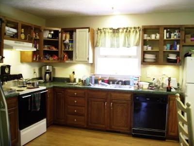 Green Kitchen Cabinets on The Cabinets  Ugly Brown Cabinets And Green Laminate Counter Tops