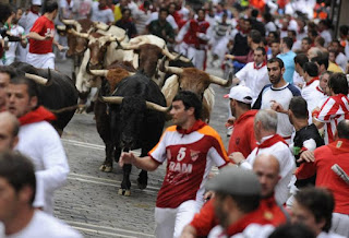 Significado de Soñar con Toros 