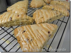 The Backyard Farmwife - Tea Party Scones