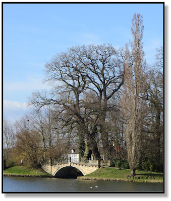 Brücke im Wörlitzer Park