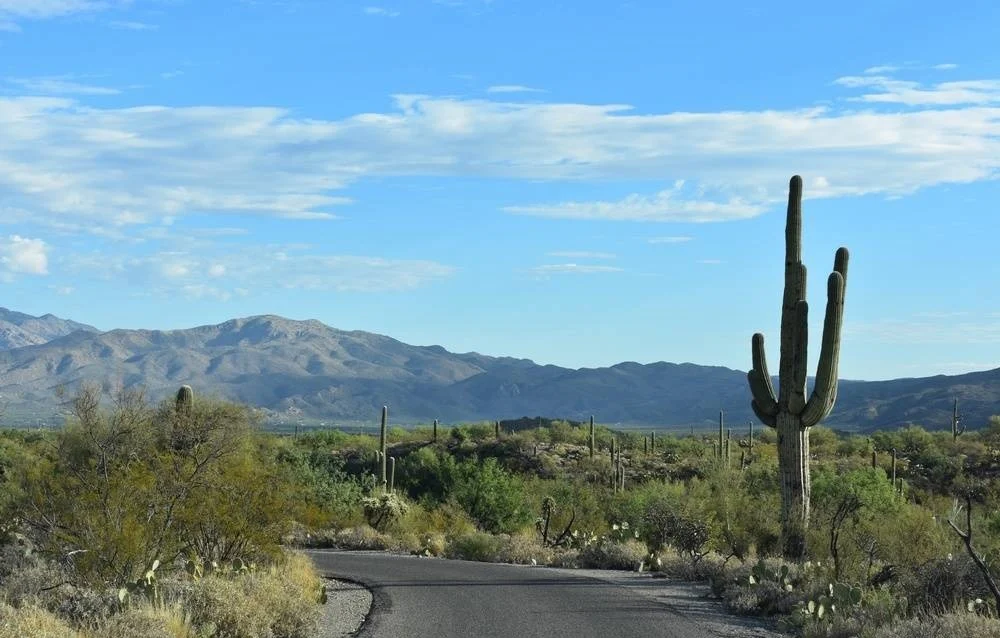 Saguaro National Park