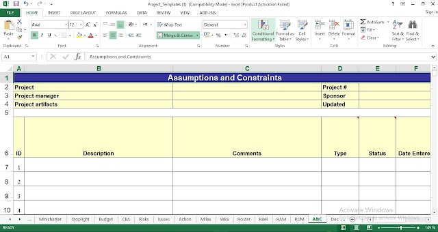 assumptions and constraints template