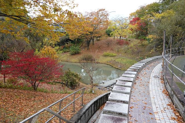 鳥取県西伯郡南部町鶴田　とっとり花回廊