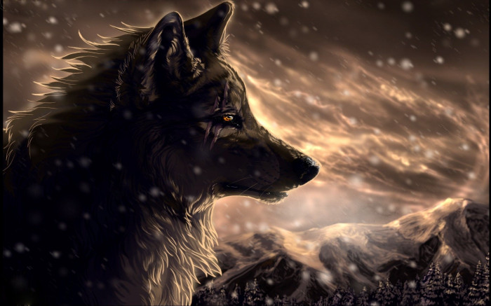 خلفيات أنيمي الذئب على WallpaperDog