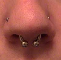 body piercings, Piercing a nose, nose keloid as a result of piercing, how long does a nose piercing take to close up, septum piercing, Puncture of a wing of a nose, Piercing & Tattoo 