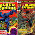 Homage: Black Panther #7 / Black Dynamite #1