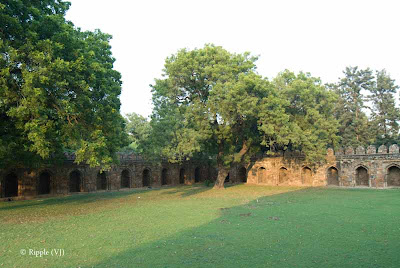 Posted by Ripple (VJ) : A visit to Lodhi Garden, Delhi, INDIA ::Open areas outside the tomb of Mohammed Shah @ Lodhi Garden, Delhi