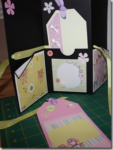 Tall Tag Tri Fold Mini Album Lou Bday Inside & Tags