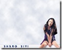 ziyizhang 1280x1024 (3)
