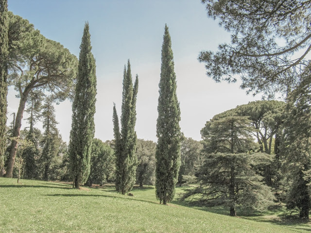 Giardino all'inglese a Caserta