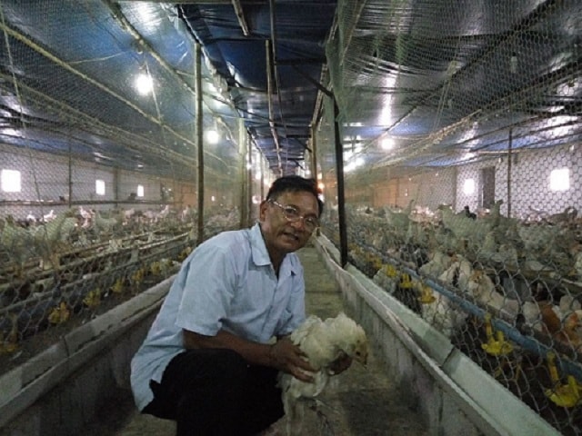 Lão nông Nam Định sở hữu 20.000 con gà, lãi 50 triệu đồng/tháng