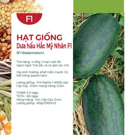 Hạt giống Dưa hấu Hắc Mỹ Nhân 547AQ - Thủy lôi