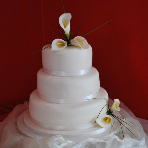 My mom and my sister went with me to sample wedding cake options