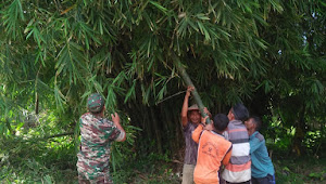 Jum'at Berkah, Babinsa Dan Warga Gotong Royong Bersihkan Pohon Bambu
