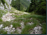 DSCN9146