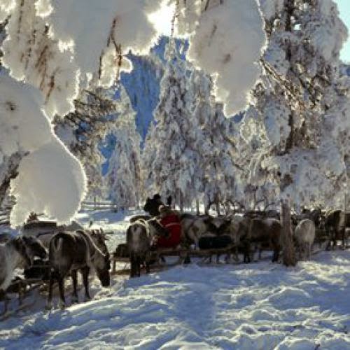 Coldest Place On Earth Shaman Paradise
