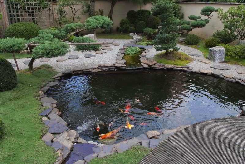 kolam ikan taman depan rumah model jepang