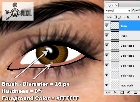 membuat vector cahaya pupil mata menggunakan photoshop - tutorial membuat vector di photoshop - membuat foto menjadi kartun dengan photoshop