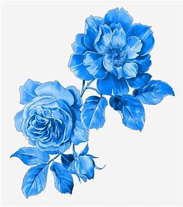 Flowers image 4k