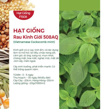 Hạt giống Rau kinh giới 508AQ