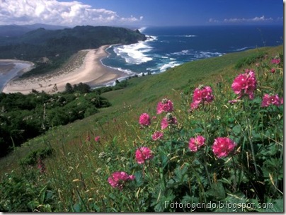 Belas praias (7)