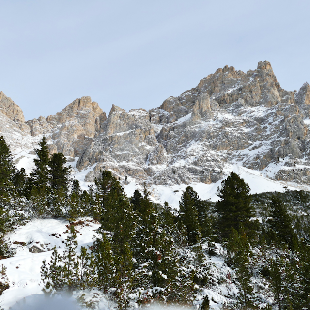 escursione invernale gardeccia