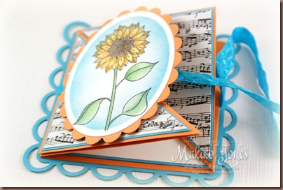 Sunflower_RI_1-3