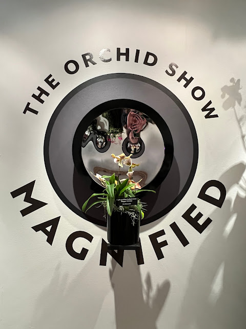 View orchids at new angles with magnifying lenses at The Chicago Botanic Garden's The Orchid Show: Magnified.