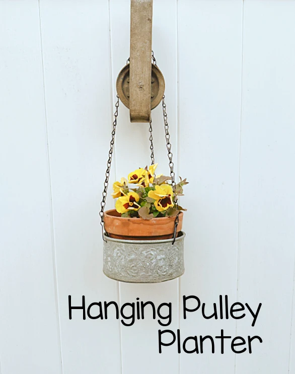 hanging planter and overlay pin
