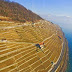 Stroll in the Swiss vineyards