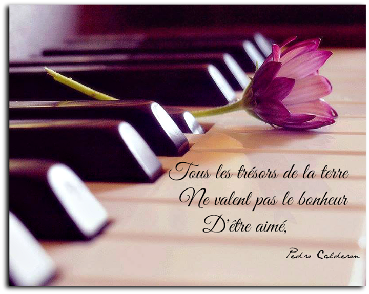 Les Panneaux Roses Citation Sur L Amour