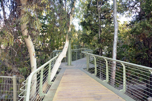 גשר המשקיף על הגן הבוטני