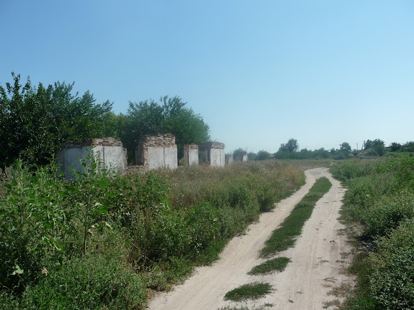 Васильківка. Околиця селища. Руїни будівель сільськогосподарського призначення