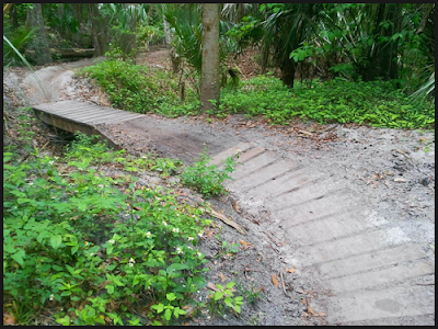 Bike Trail At Soldier's Creek