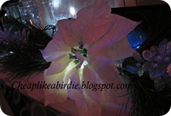 IMG_1786sigs