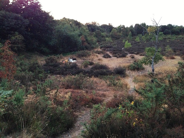 Hayes Common SSSI, 9:15 pm on 26 July 2013, showing the position of a moth trap.